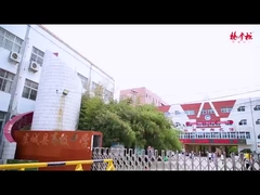 De bergen van Noodles met groenten en gemarineerde eieren zijn super lekker en verslavend!